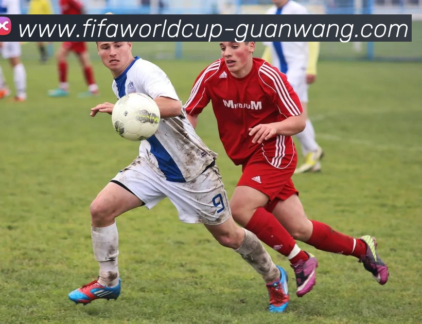 App Interface Preview